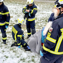 Zwiększona liczba zdarzeń. Łatwo o wypadek